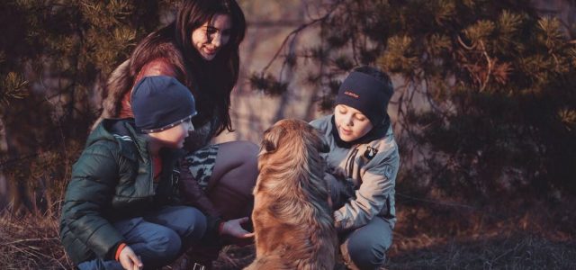 4 Domaines dont les familles devraient s’occuper à l’automne
