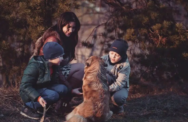 4 Domaines dont les familles devraient s’occuper à l’automne