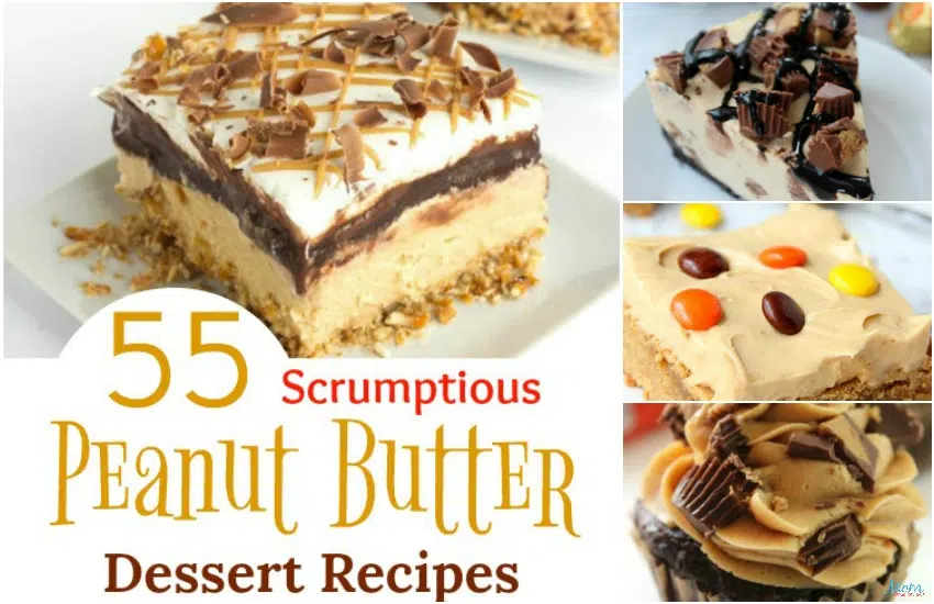 55 délicieuses recettes de desserts au beurre d’arachide qui vous feront baver {Partie 1}.