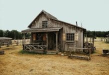 Construire sa maison en bois : les avantages et les étapes-clés