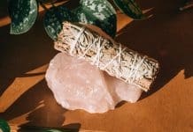 Quelles plantes pour le bâton de fumigation ?