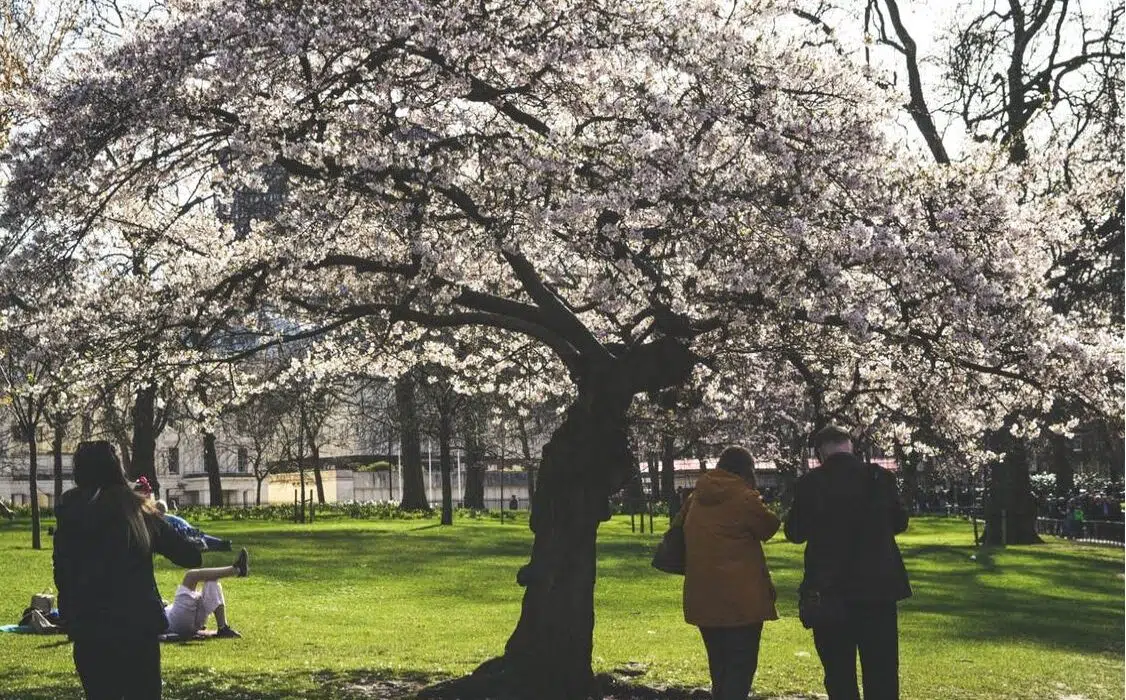 A l’aise au printemps : 4 façons de garder la famille heureuse pendant les périodes de changement de temps