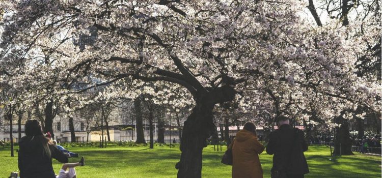 A l’aise au printemps : 4 façons de garder la famille heureuse pendant les périodes de changement de temps