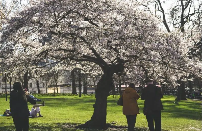 A l’aise au printemps : 4 façons de garder la famille heureuse pendant les périodes de changement de temps