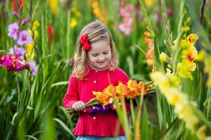 Edible Flower Garden For Kids