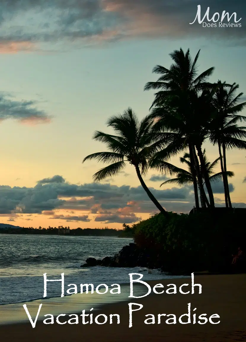 Hamoa Beach Vacation Paradise #travel #maui #beach #vacation 