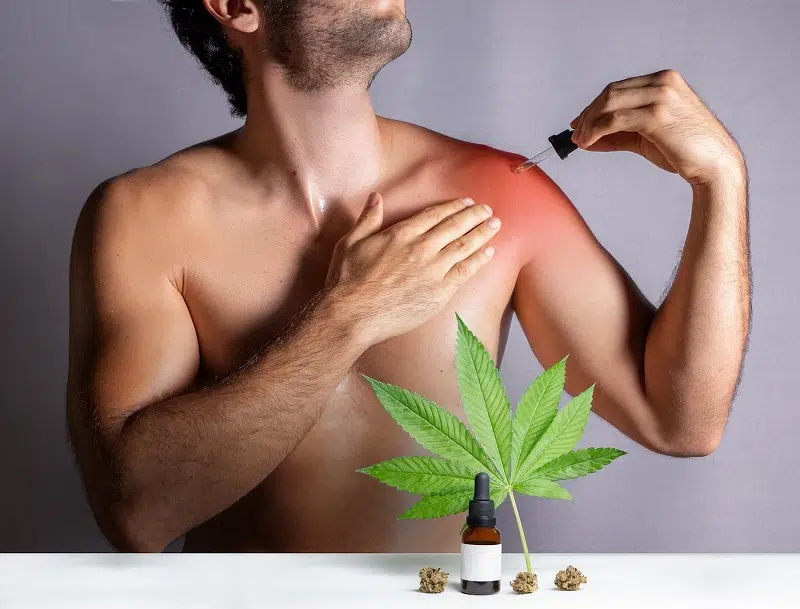 Le CBD comme solution naturelle pour soulager les douleurs du quotidien