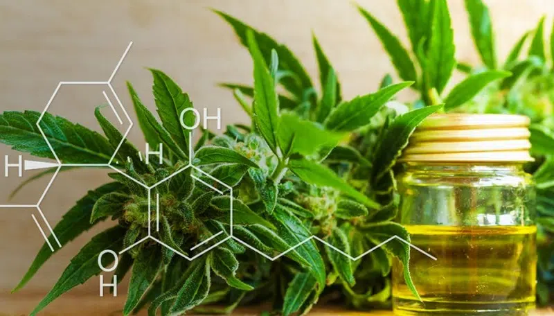 Quels sont les produits CBD les plus puissants ?