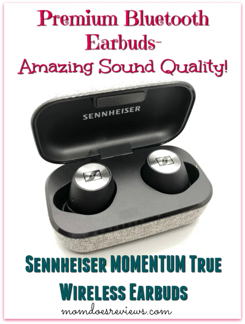 Sennheiser MOMENTUM True Wireless Earbuds #bestbuy #sweet2019 #review #earbuds #audio #technology