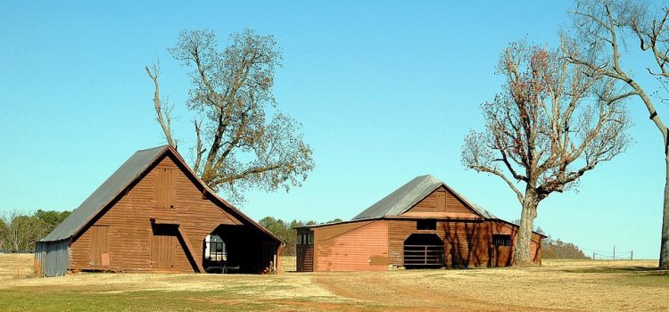 Ces agriculteurs qui ont trouvé la solution de rentabiliser leurs hangars inoccupés