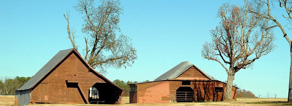 Ces agriculteurs qui ont trouvé la solution de rentabiliser leurs hangars inoccupés