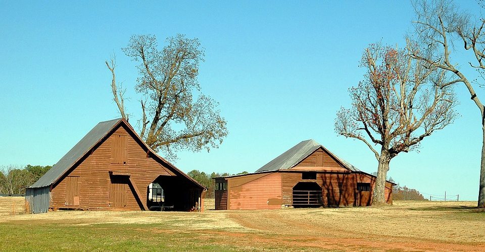 Ces agriculteurs qui ont trouvé la solution de rentabiliser leurs hangars inoccupés