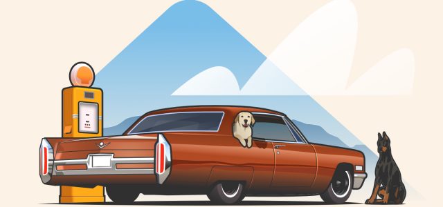 Voyage sur la route des chiens 101 : Protégez votre chiot