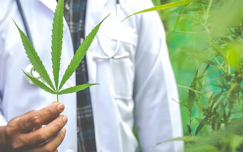 Qui peut prescrire le CBD ?