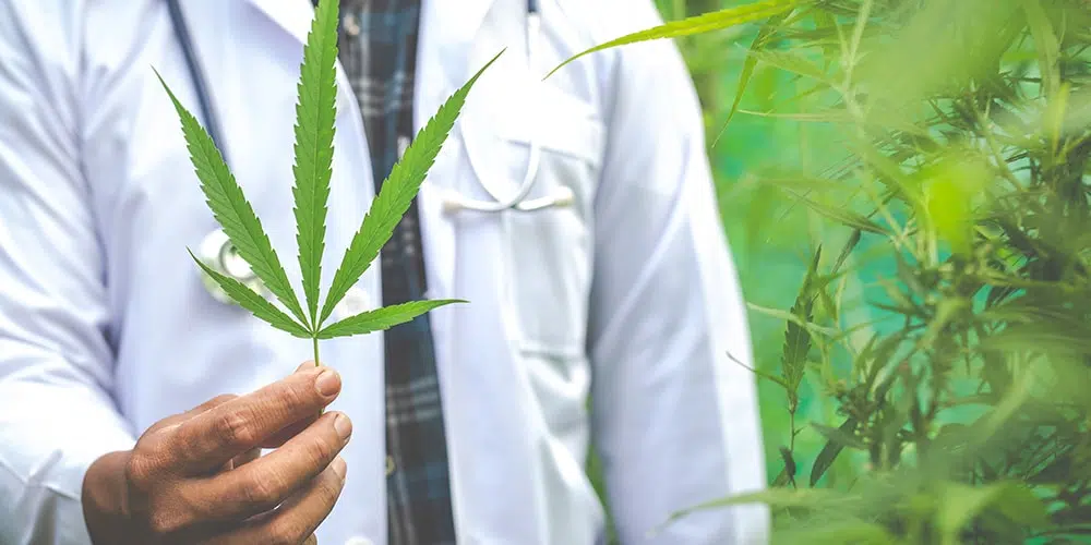 Qui peut prescrire le CBD ?