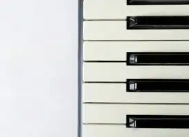 Comment choisir le piano numérique adapté à vos besoins et votre budget