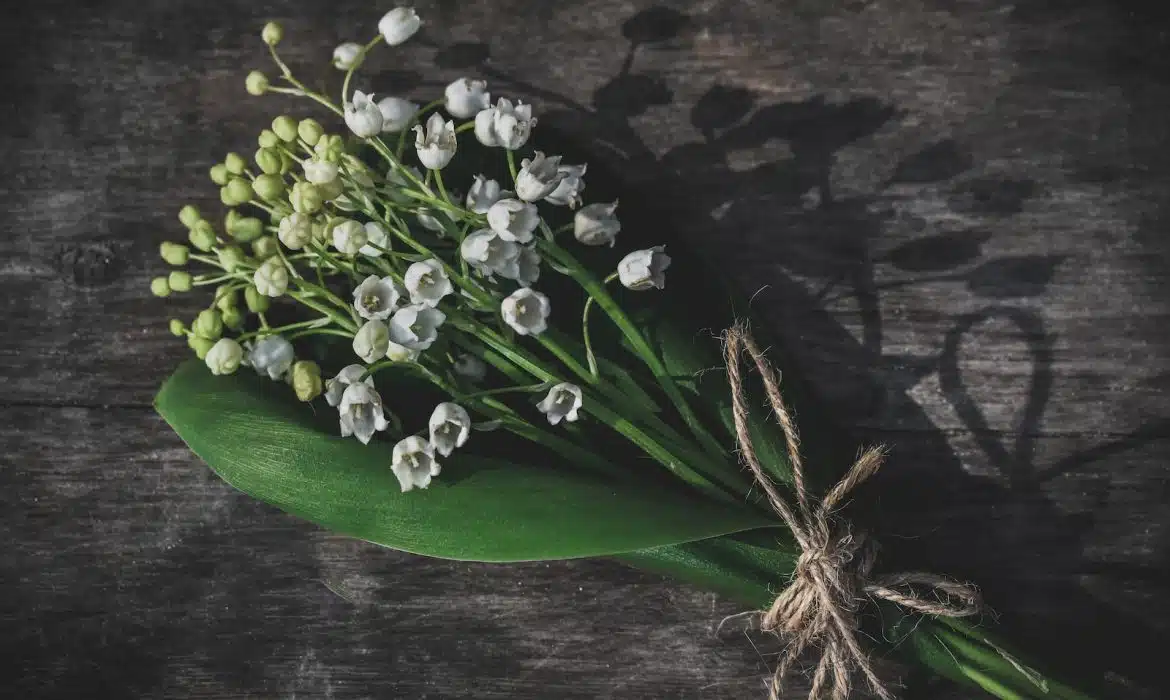 Les usages du muguet pour la fête du Travail