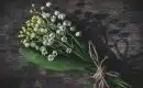 Les usages du muguet pour la fête du Travail