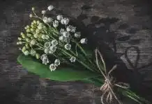 Les usages du muguet pour la fête du Travail