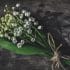 white-petaled flowers bouquet