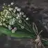 white-petaled flowers bouquet