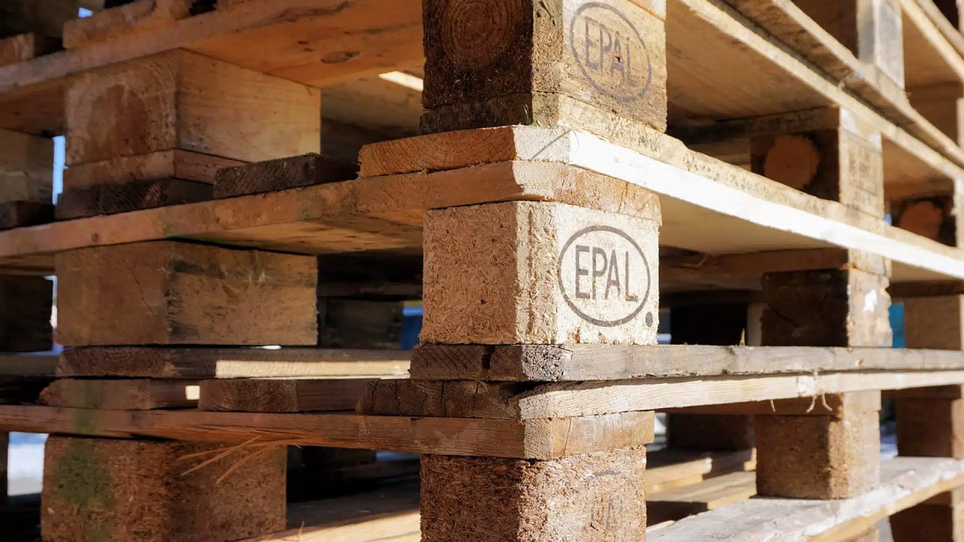 L'importance des palettes de qualité pour l'efficacité logistique : guide pour les professionnels