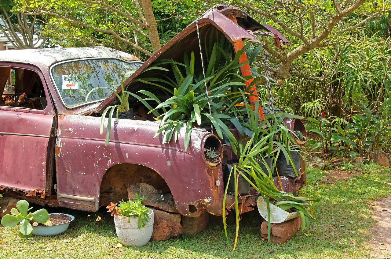 Crusty Clunker: 5 Thoughts on What to Do with an Old Car